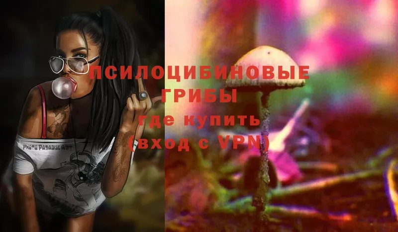 Псилоцибиновые грибы Psilocybe  мега вход  Миасс 